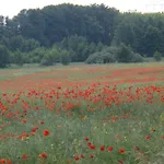 Apartament Kleine Auszeit - Und Erholung In Mecklenburg