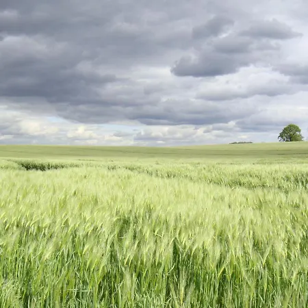 Kleine Auszeit - Und Erholung In Mecklenburg * Reimershagen