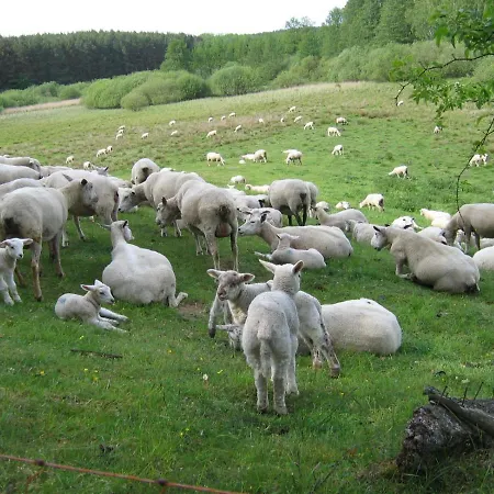 Kleine Auszeit - Und Erholung In Mecklenburg