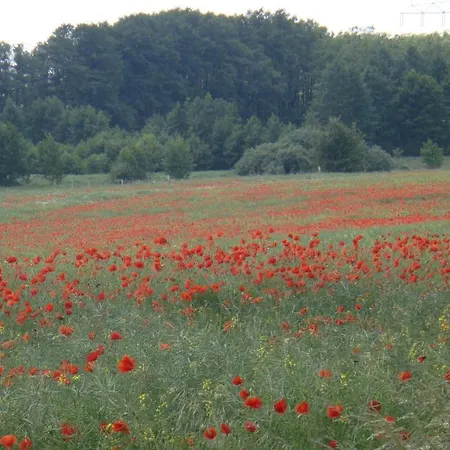 Apartmán Kleine Auszeit - Und Erholung In Mecklenburg