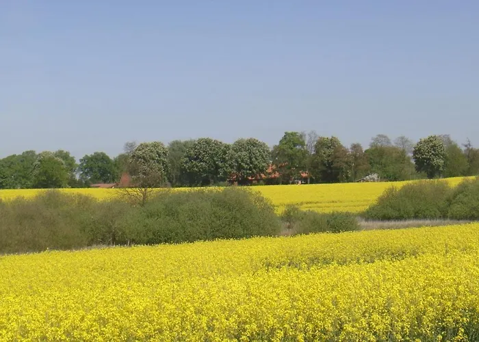 Apartman Kleine Auszeit - Und Erholung In Mecklenburg *