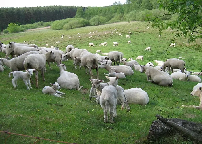 Kleine Auszeit - Und Erholung In Mecklenburg