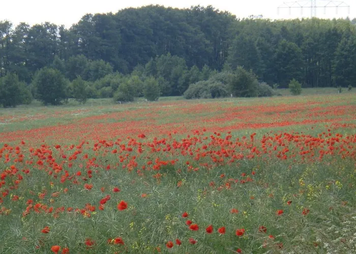 Apartman Kleine Auszeit - Und Erholung In Mecklenburg